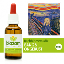 images/productimages/small/bachbloesem-mix-angsten.png